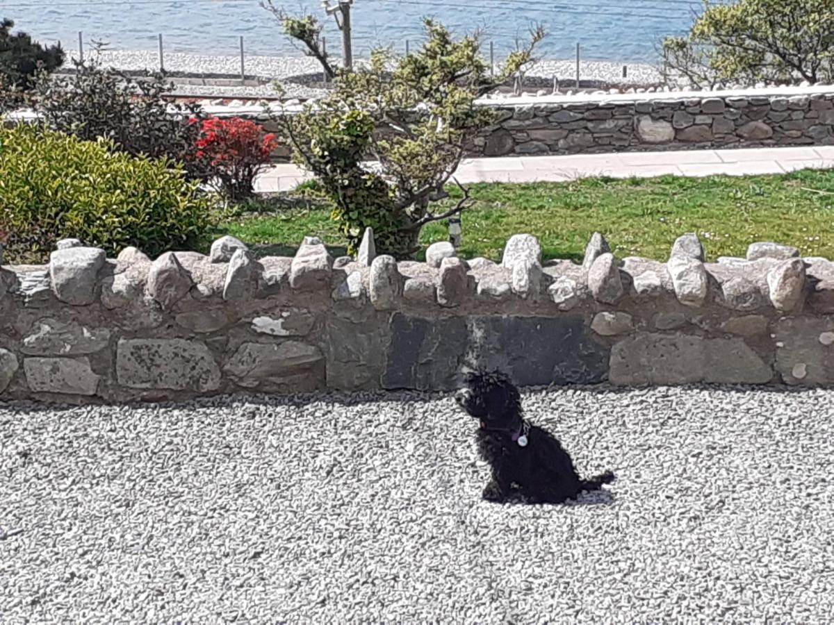 Talarfor Barmouth Villa Exterior foto